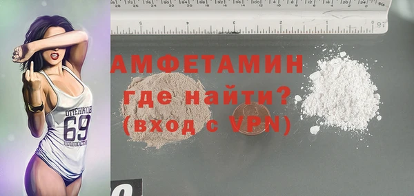 МДПВ Инсар