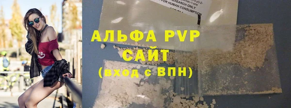 МДПВ Инсар