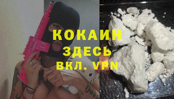 mix Инта