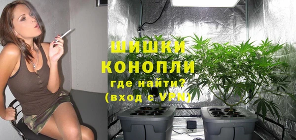 mix Инта