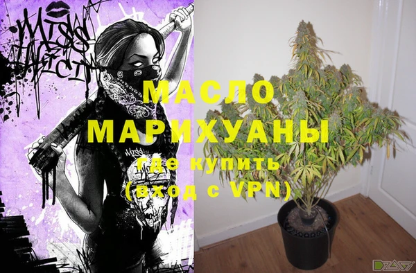 МДПВ Инсар