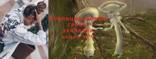 mix Инта