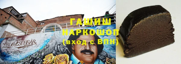 МДПВ Инсар