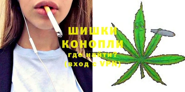 МДПВ Инсар