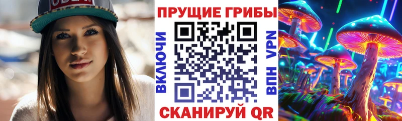Псилоцибиновые грибы мицелий  Купить где  Кириши 
